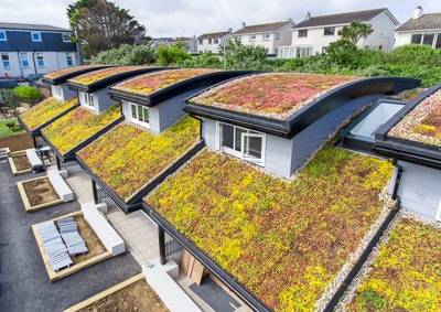 Green Roofs in UK: Benefits, Costs, and Planning Guide (2025)